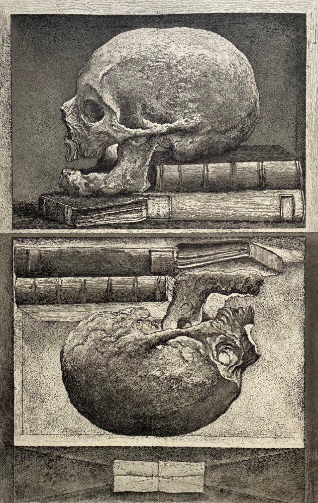 Erik Desmaziere - The Skull of Sir Thomas Browne